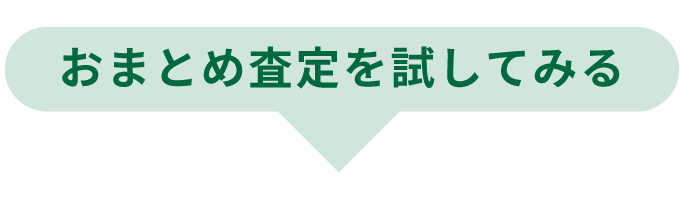 おまとめ査定を試してみる